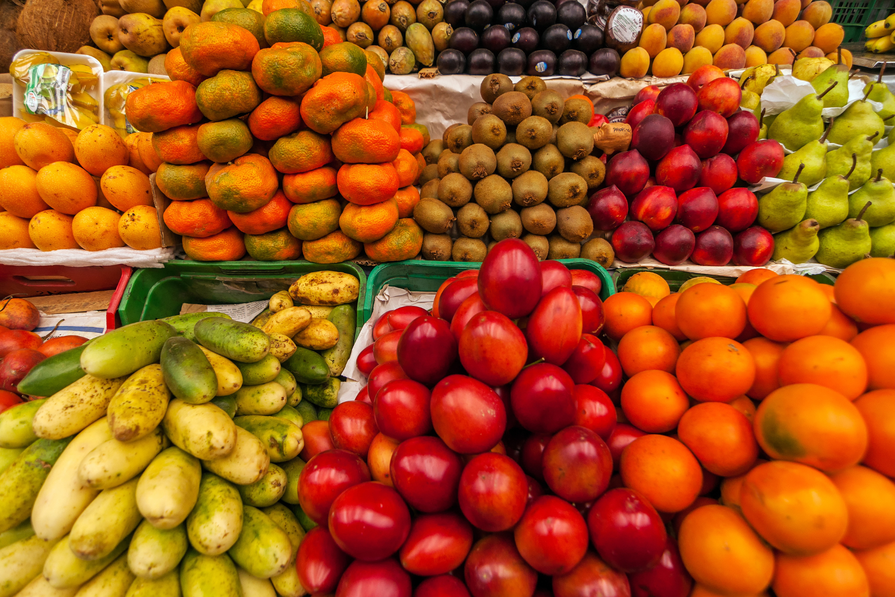 MAIN_Plaza-de-mercado_1